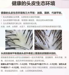 -Bollins波林丝•专研护发中心