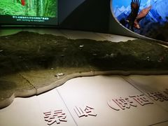 -陕西自然博物馆