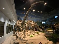 -自贡恐龙博物馆