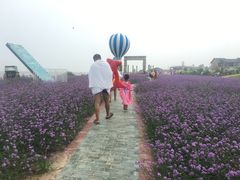 -渔岛海洋度假区