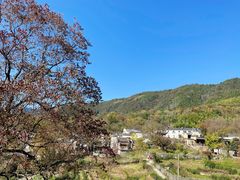 -塔川景区