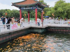 -长春市南湖公园