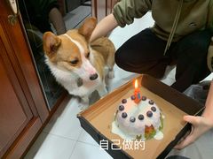 -糖秋Cake DIY·蛋糕定制·甜品台(观音桥店)