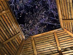 -春晖园度假酒店温泉