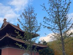 -大报恩寺遗址景区