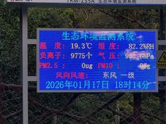 -海南热带雨林国家公园吊罗山景区