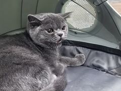 -爱侣宠医·鹦鹉专科·小型哺乳类·异宠专科(灵石路店)