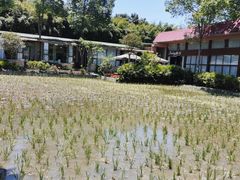 -洪湖家庭农场·团建·露营·会议