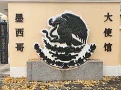 -三里屯东五街银杏大道