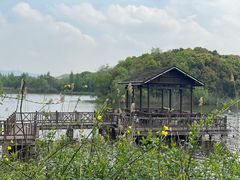 -上海市保健医疗中心