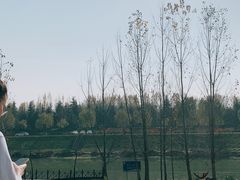 -洨河生态公园