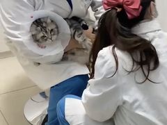 -科道动物医院·急重症中心(万达院)