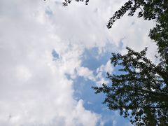 -绿岛公园(滨海新区)