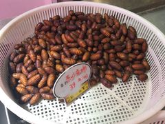 -喜来酌海鲜·饺子(和平一店)