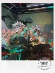 -恐龙探索乐园(磁器口店)