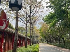 -顺峰山公园