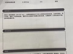 -特一安24小时宠物医院·骨科·中兽医