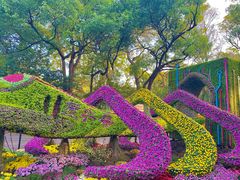-杭州植物园