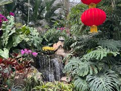 -郑州植物园