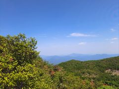 -大围山国家森林公园