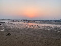 -刘家湾赶海园