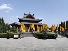 -大槐树寻根祭祖园