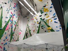 -绿壁虎攀岩基地(Tcar店)