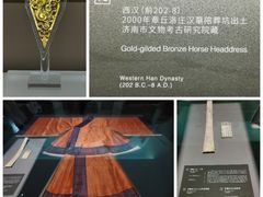 -山东博物馆