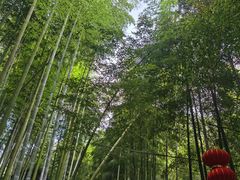 -山沟沟景区
