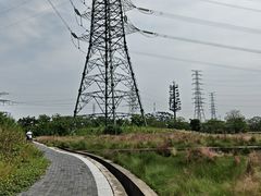 -王借岗森林公园
