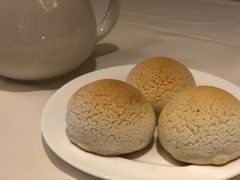 雪岭雄峰-利苑酒家(合景国际金融广场店)