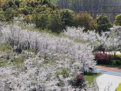 -外高桥保税区南(地铁站)