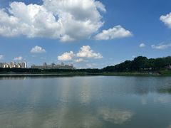 -风云岭森林公园