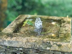 -普陀山雷迪森庄园
