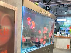 -朱光玉火锅馆(正弘城店)