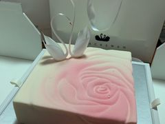 -BLACKSWAN黑天鹅(环球店)