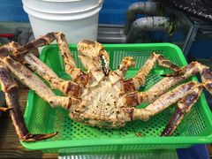 -海九澎湖海鲜餐厅