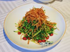 巧拌豆苗-四季民福烤鸭店(王府井灯市口店)