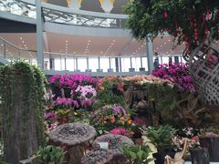 -南通洲际绿博园