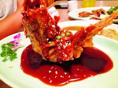 -新白鹿餐厅(城西银泰城店)