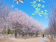 -太阳宫公园