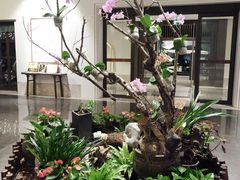 -青花餐厅(雅谷泉山庄酒店)