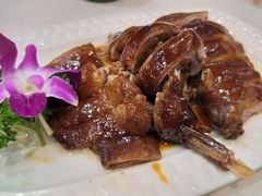 -鹅城