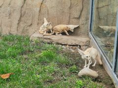 -西霞口神雕山野生动物世界