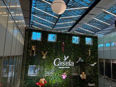 -西沃古尔·拉姆古兰爵士国际机场