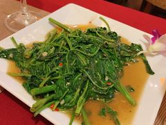 空心菜-Daddy Nimman Chiang Mai
