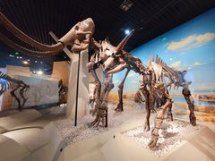 -国家自然博物馆