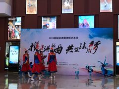 -中国宋庆龄青少年科技文化交流中心