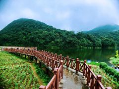 -广州市石门国家森林公园
