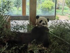 -云南野生动物园